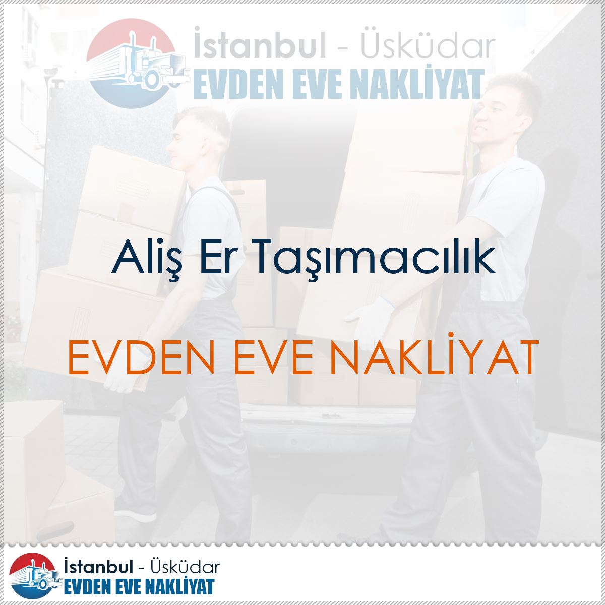 Aliş Er Taşımacılık : Kapak Görseli