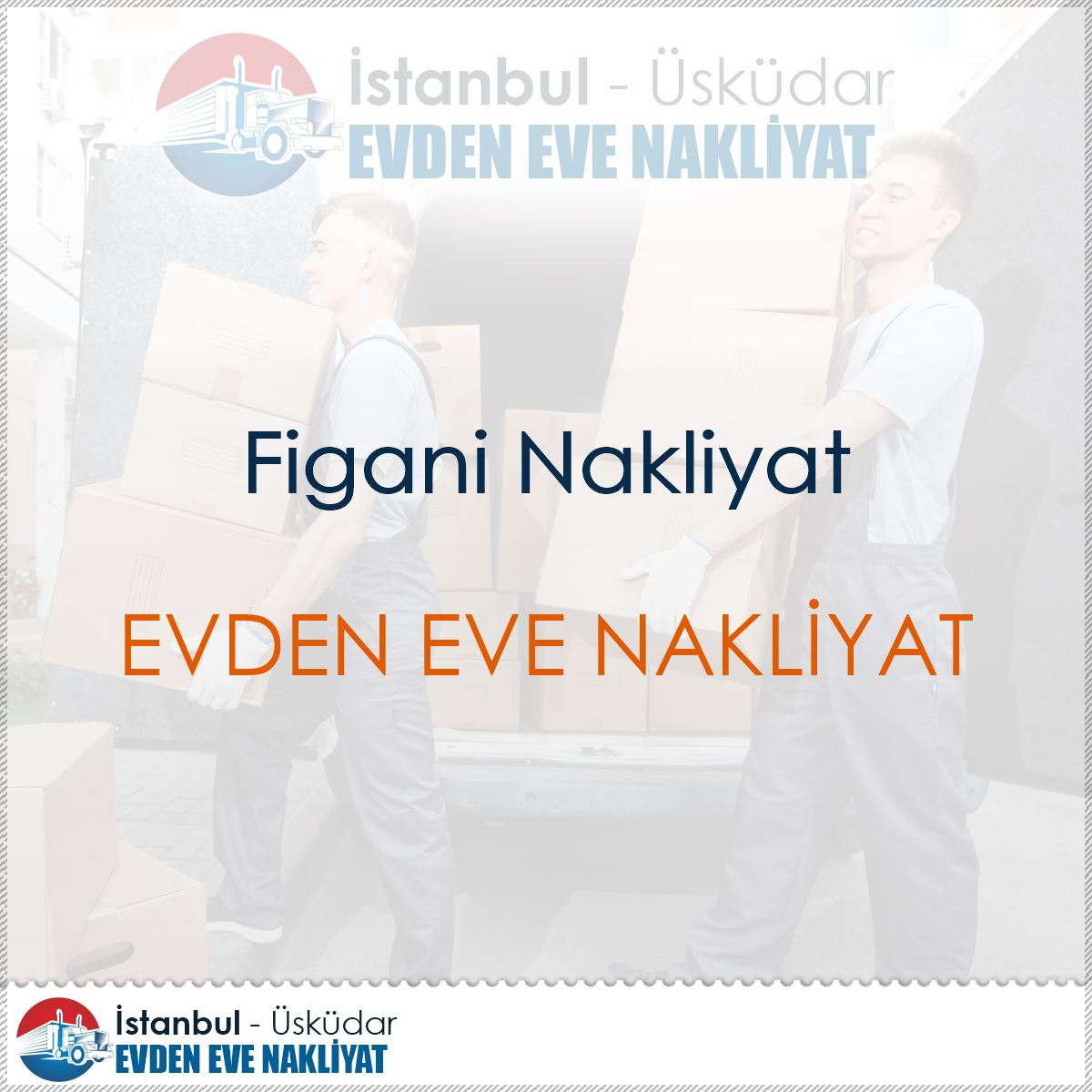 Figani Nakliyat : Kapak Görseli