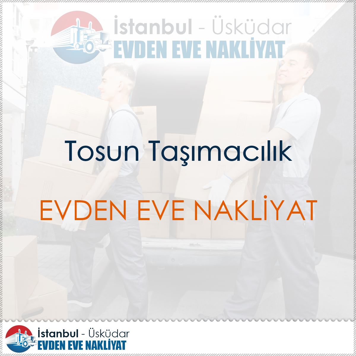 Tosun Taşımacılık : Kapak Görseli